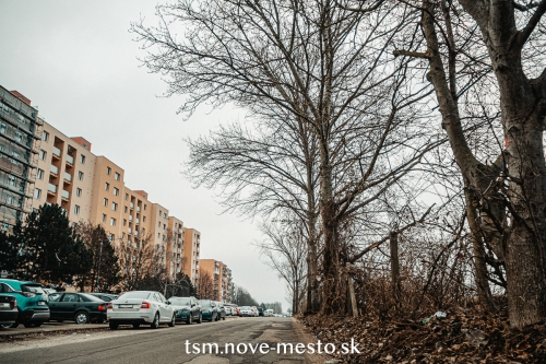 202102240850580.tematinska-2021-3